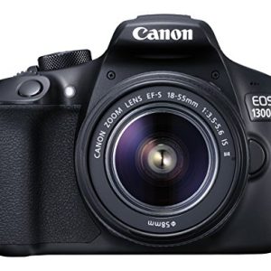 Nikon D3300 and Simple Coupon with Review